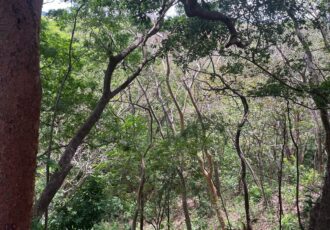Lote Curubande Liberia Guanacaste en venta GANGA